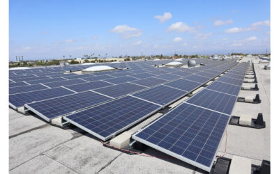 Growing in the Golden State and beyond